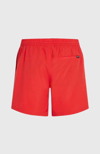 Men O'Neill Cali 16" Swimshorts