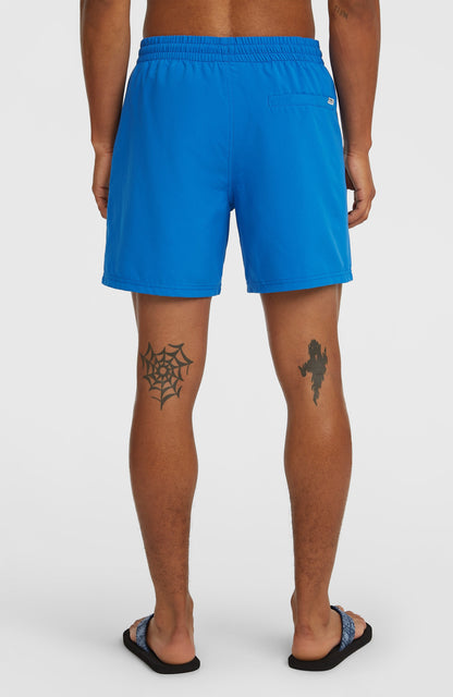 Men O'Neill Logo 16" Swimshorts