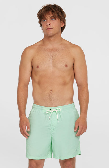 Men O’Neill Vert 16'' Swim Shorts