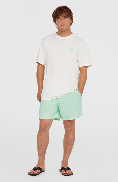 Men O’Neill Vert 16'' Swim Shorts