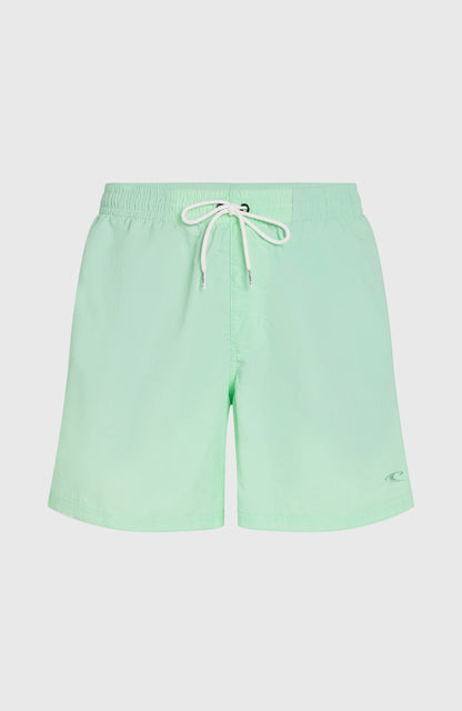 Men O’Neill Vert 16'' Swim Shorts