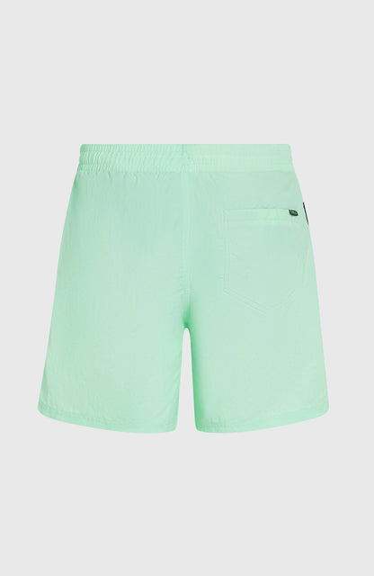 Men O’Neill Vert 16'' Swim Shorts