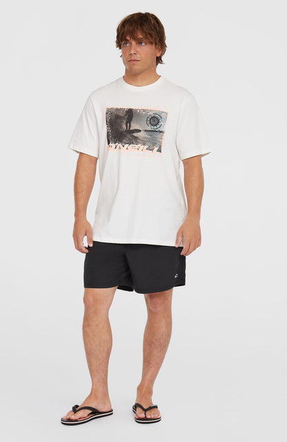 Men O'Neill Vert 16" Swim Shorts