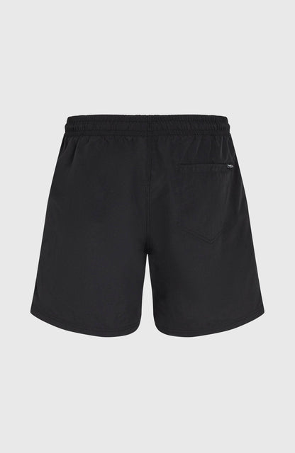 Men O'Neill Vert 16" Swim Shorts