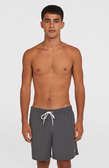 Men O'Neill Vert 16" Swim Shorts