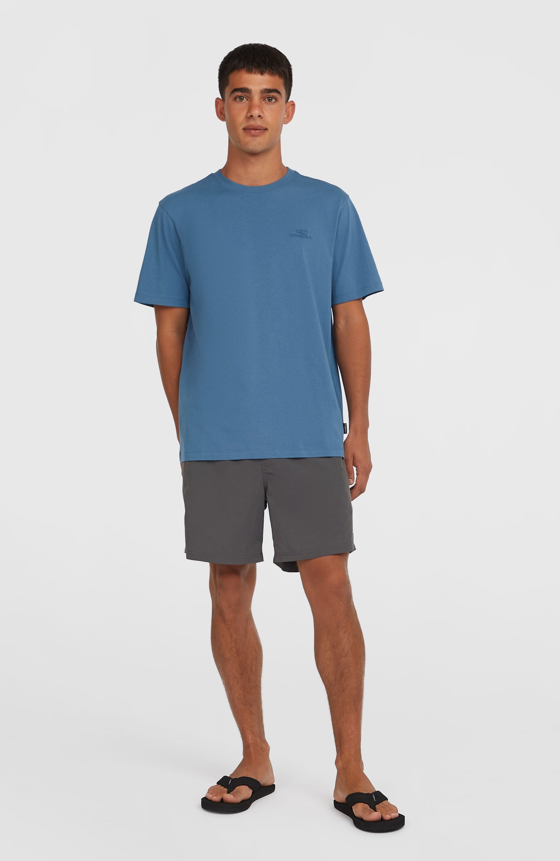 Men O'Neill Vert 16" Swim Shorts