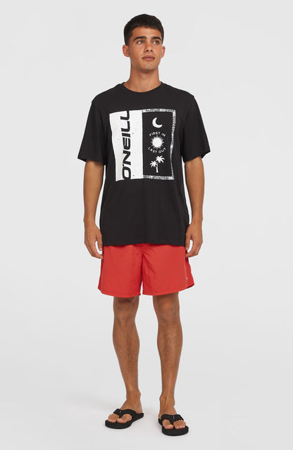 Men O'Neill Vert 16" Swim Shorts