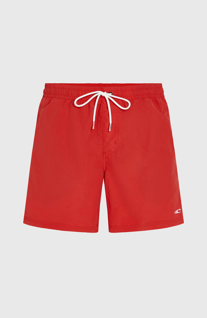 Men O'Neill Vert 16" Swim Shorts