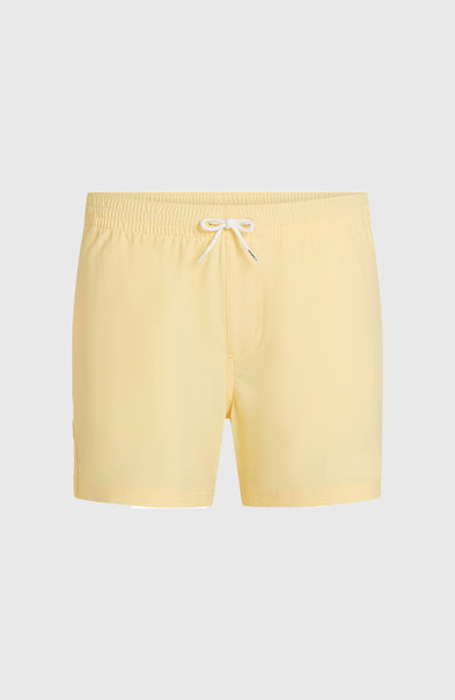Men O'Neill 15" Swimshorts