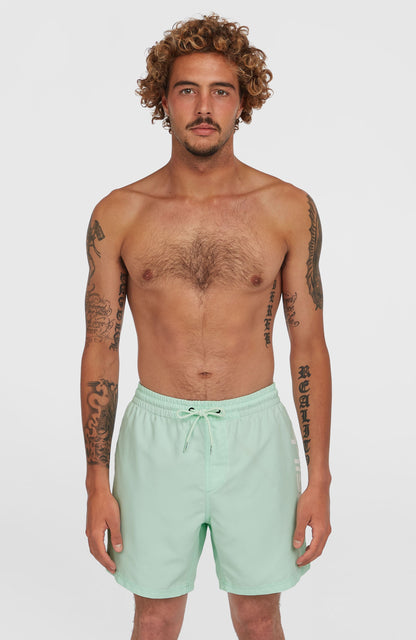 Men Cali 16'' Swim Shorts