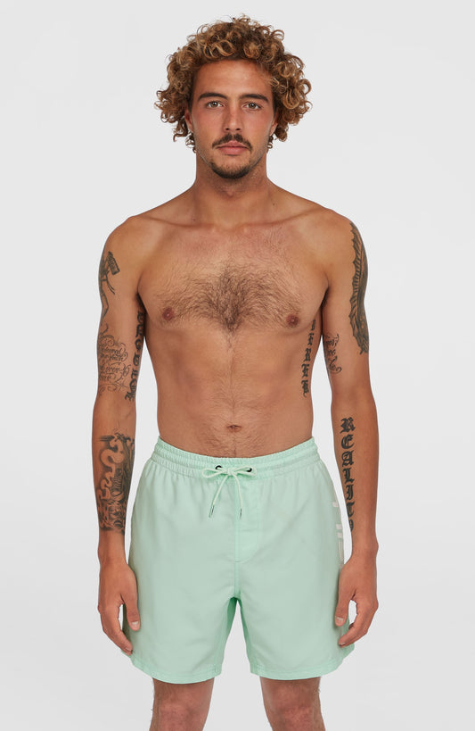 Men Cali 16'' Swim Shorts