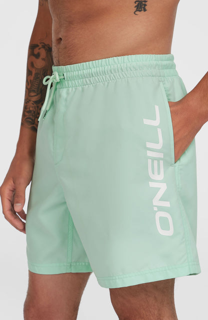 Men Cali 16'' Swim Shorts