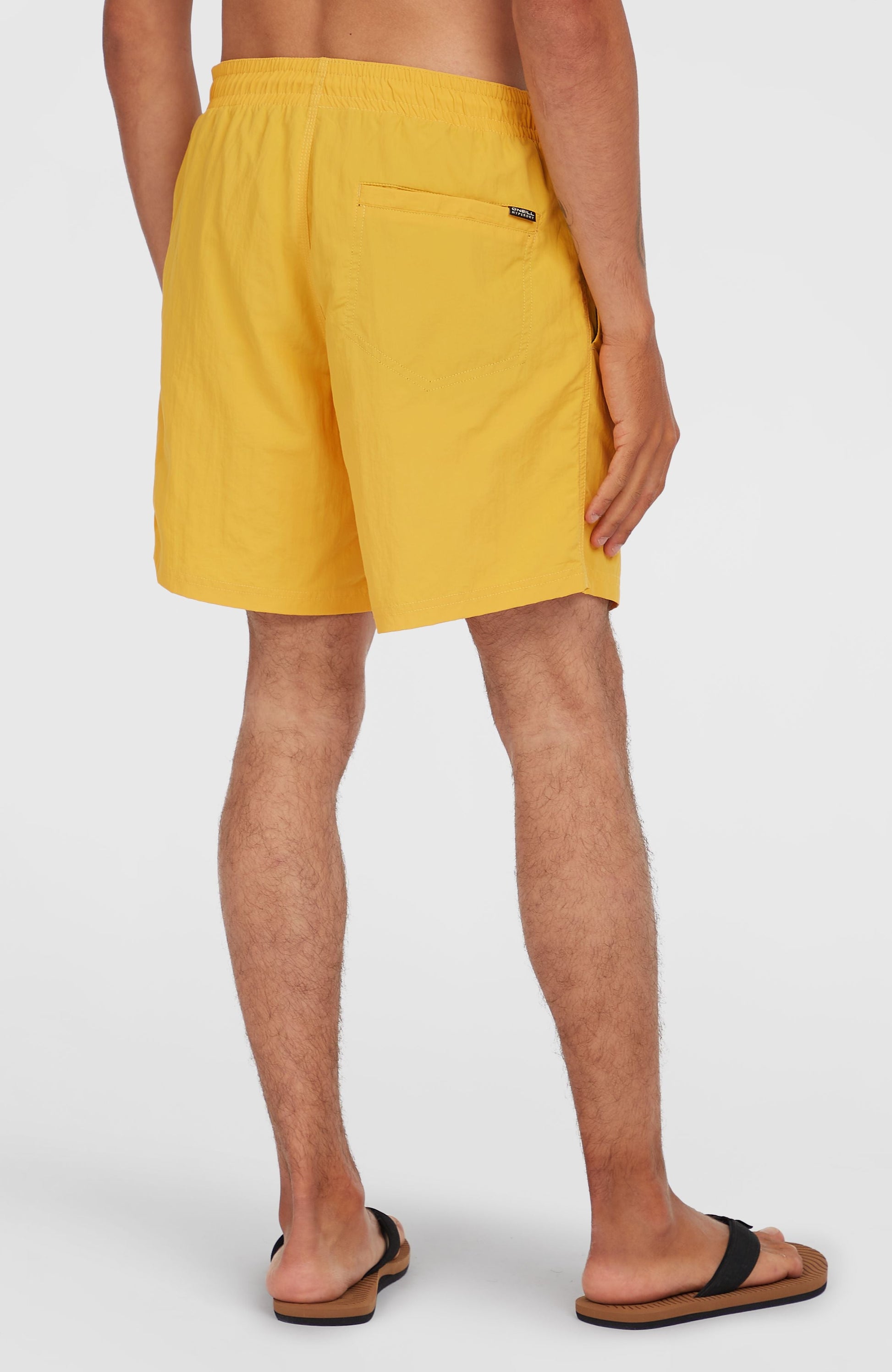 Men O’Neill Vert 16'' Swim Shorts
