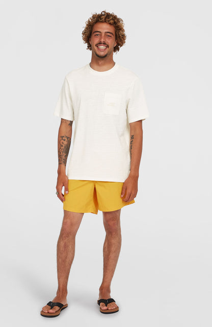 Men O’Neill Vert 16'' Swim Shorts