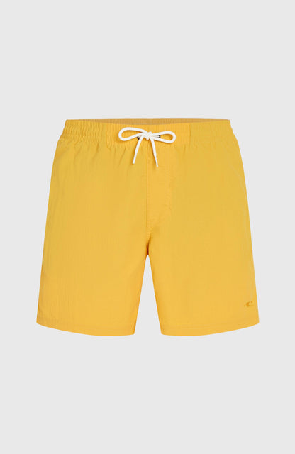Men O’Neill Vert 16'' Swim Shorts