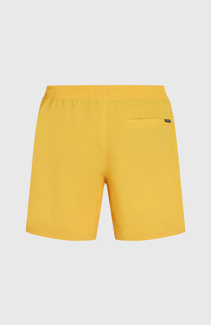 Men O’Neill Vert 16'' Swim Shorts