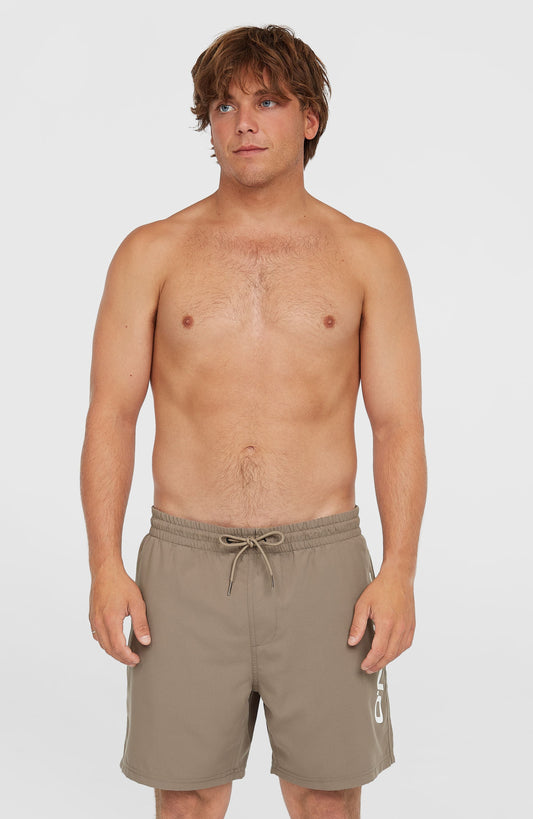 Men Cali 16'' Swim Shorts