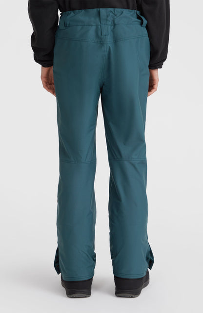 Men Hammer Regular Snow Pants