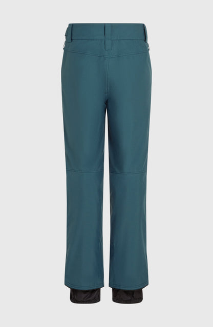 Men Hammer Regular Snow Pants