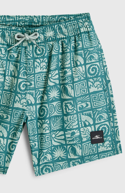 Kids O'Neill Print Swimshorts