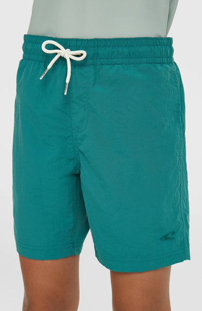 Kids O'Neill Vert Swimshorts