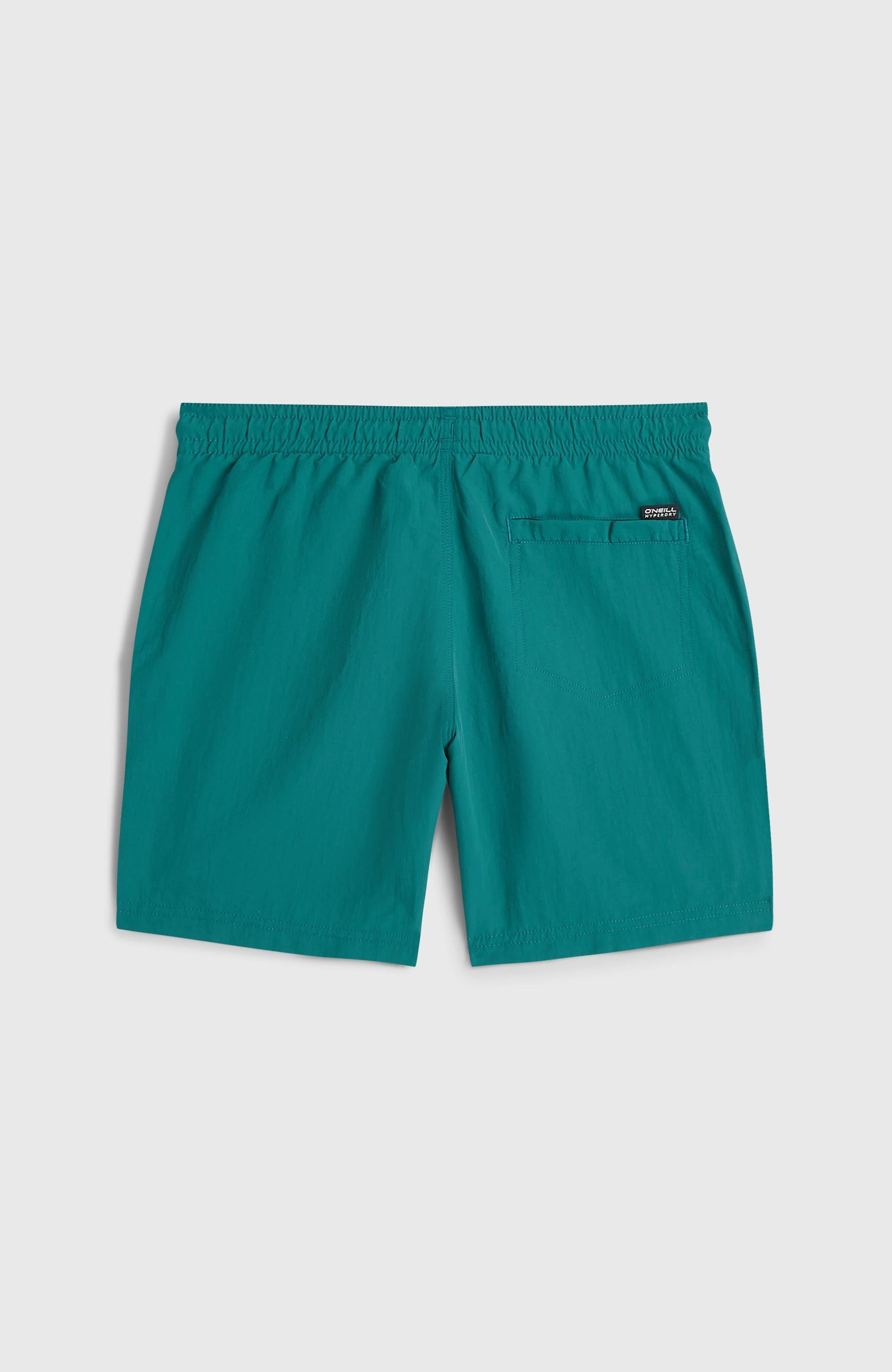 Kids O'Neill Vert Swimshorts