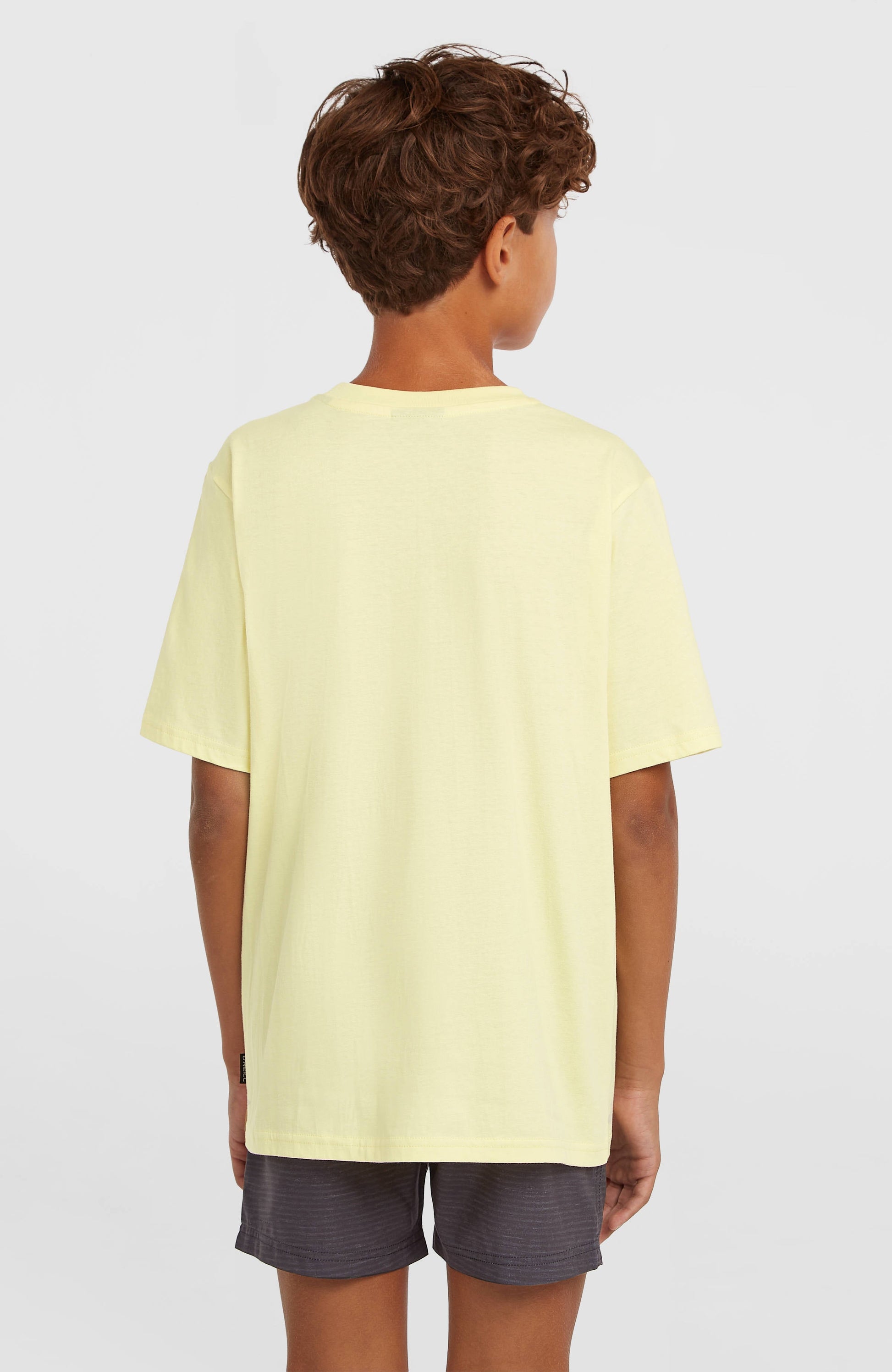 Kids O'Neill Logo Stripe Swimshorts