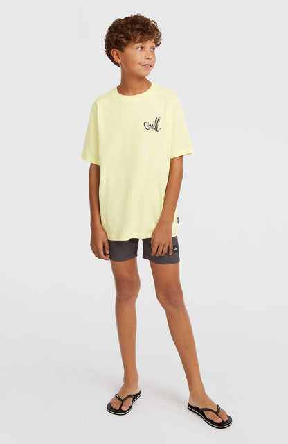 Kids O'Neill Logo Stripe Swimshorts