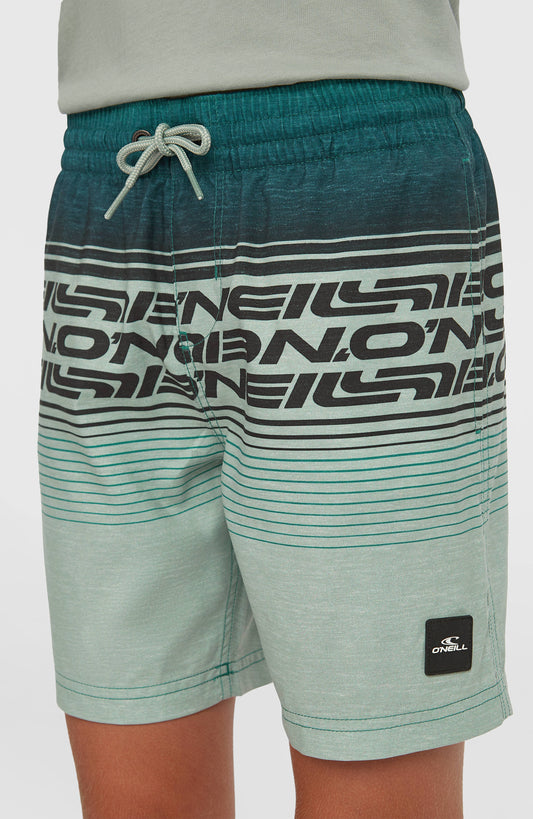 Kids O'Neill Logo Stripe Swimshorts