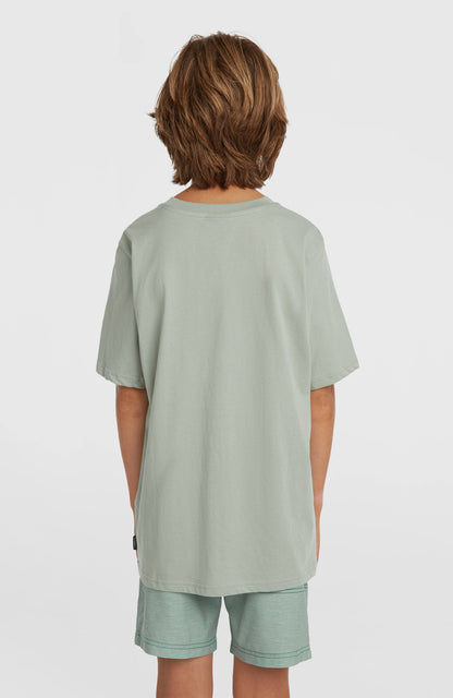 Kids O'Neill Logo Stripe Swimshorts