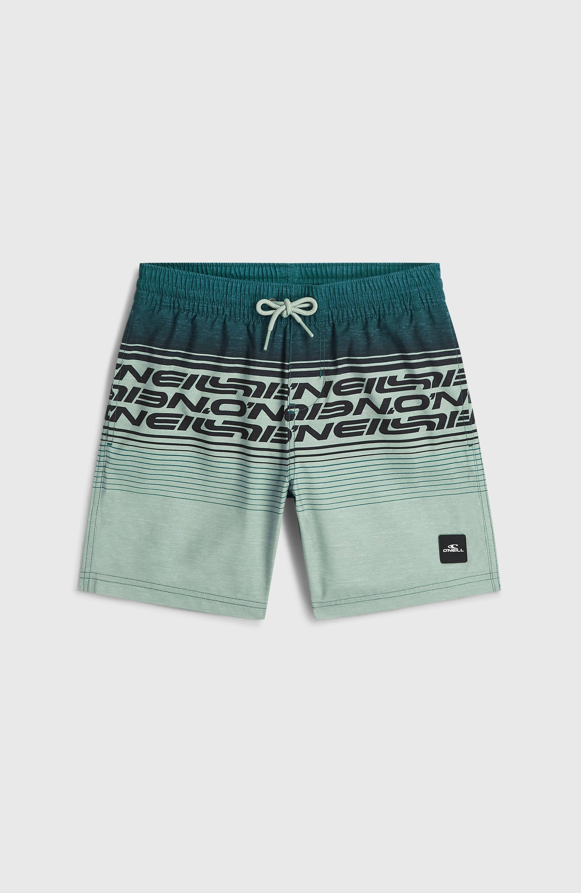 Kids O'Neill Logo Stripe Swimshorts