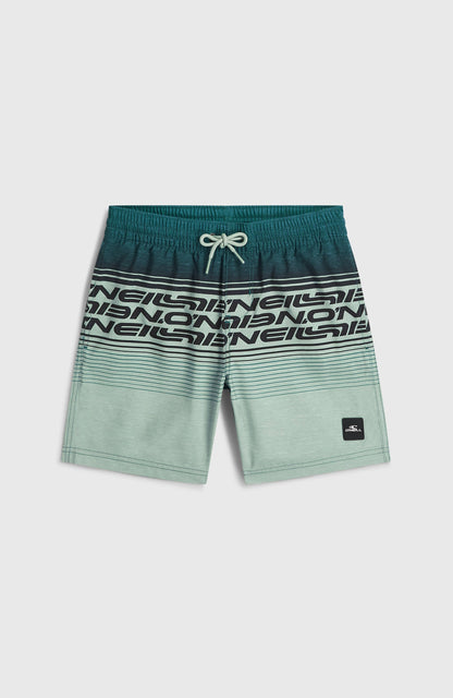Kids O'Neill Logo Stripe Swimshorts