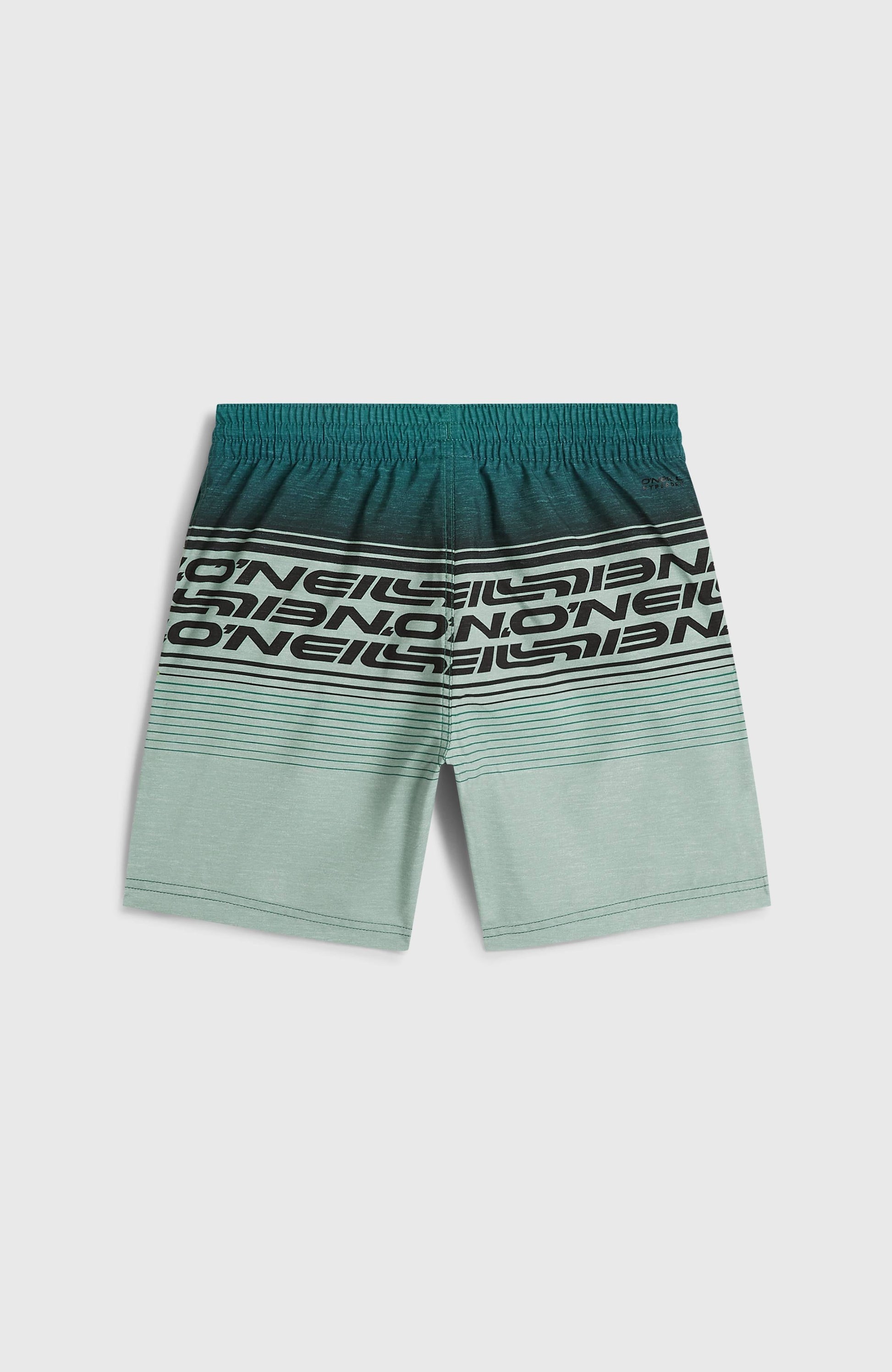 Kids O'Neill Logo Stripe Swimshorts