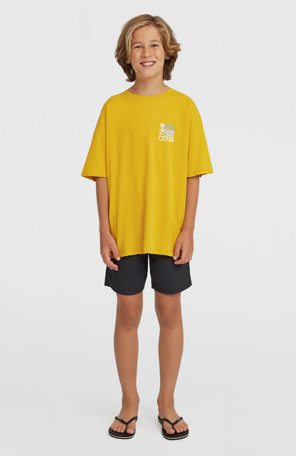 Kids O'Neill Vert Swimshorts