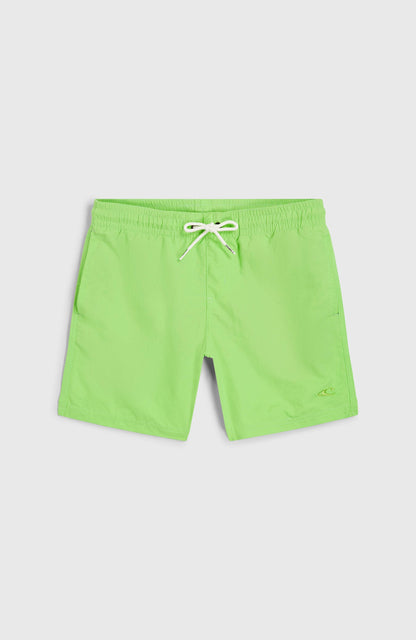 Kids Vert 14'' Swim Shorts