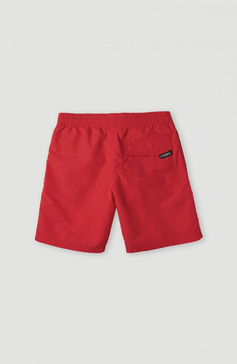 Kids Vert 14'' Swim Shorts