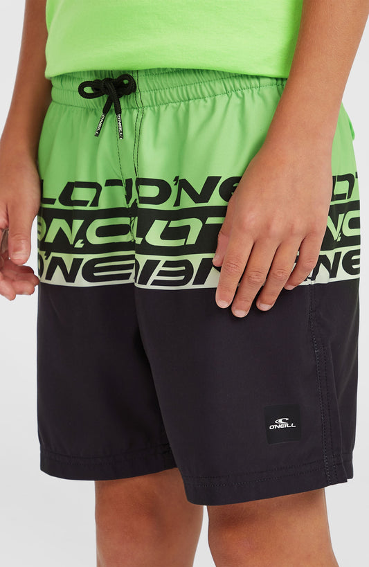 Kids Cali Stripe 14'' Swim Shorts
