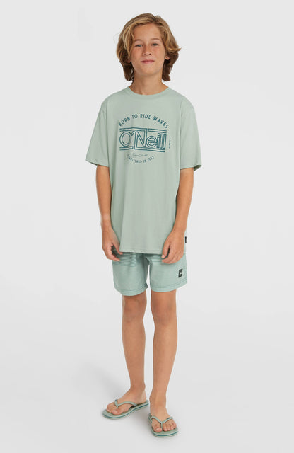 Kids O'Neill Muir T-Shirt