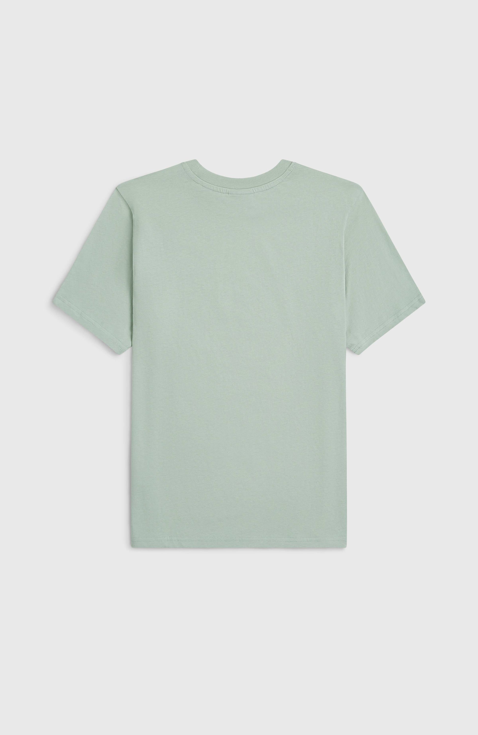 Kids O'Neill Muir T-Shirt