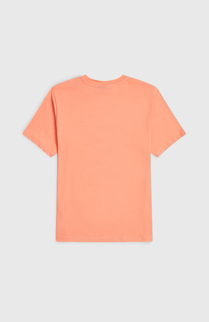 Kids O'Neill Muir T-Shirt