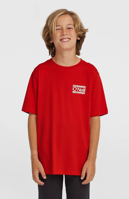 Kids O'Neill Cali T-Shirt