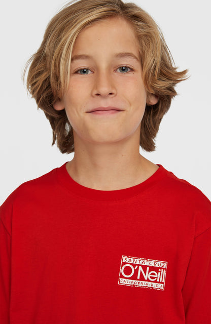 Kids O'Neill Cali T-Shirt