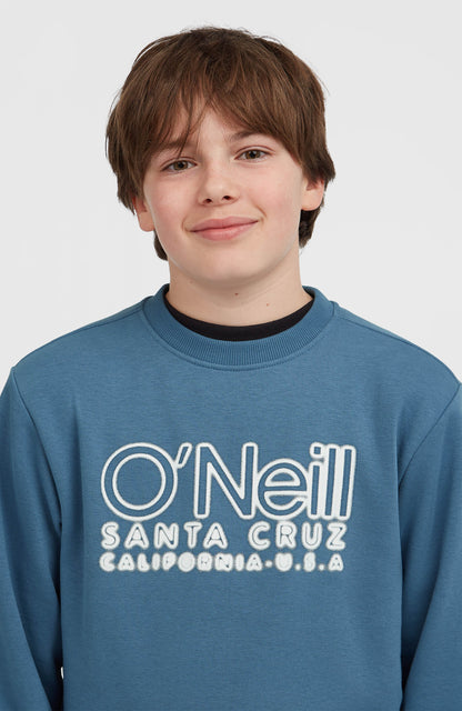 Kids Essentials Crew Sweatshirt