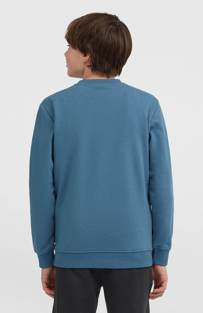 Kids Essentials Crew Sweatshirt