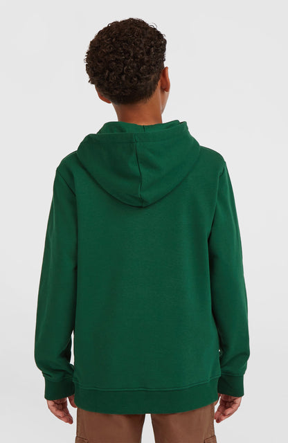 Kids Essentials Hoodie