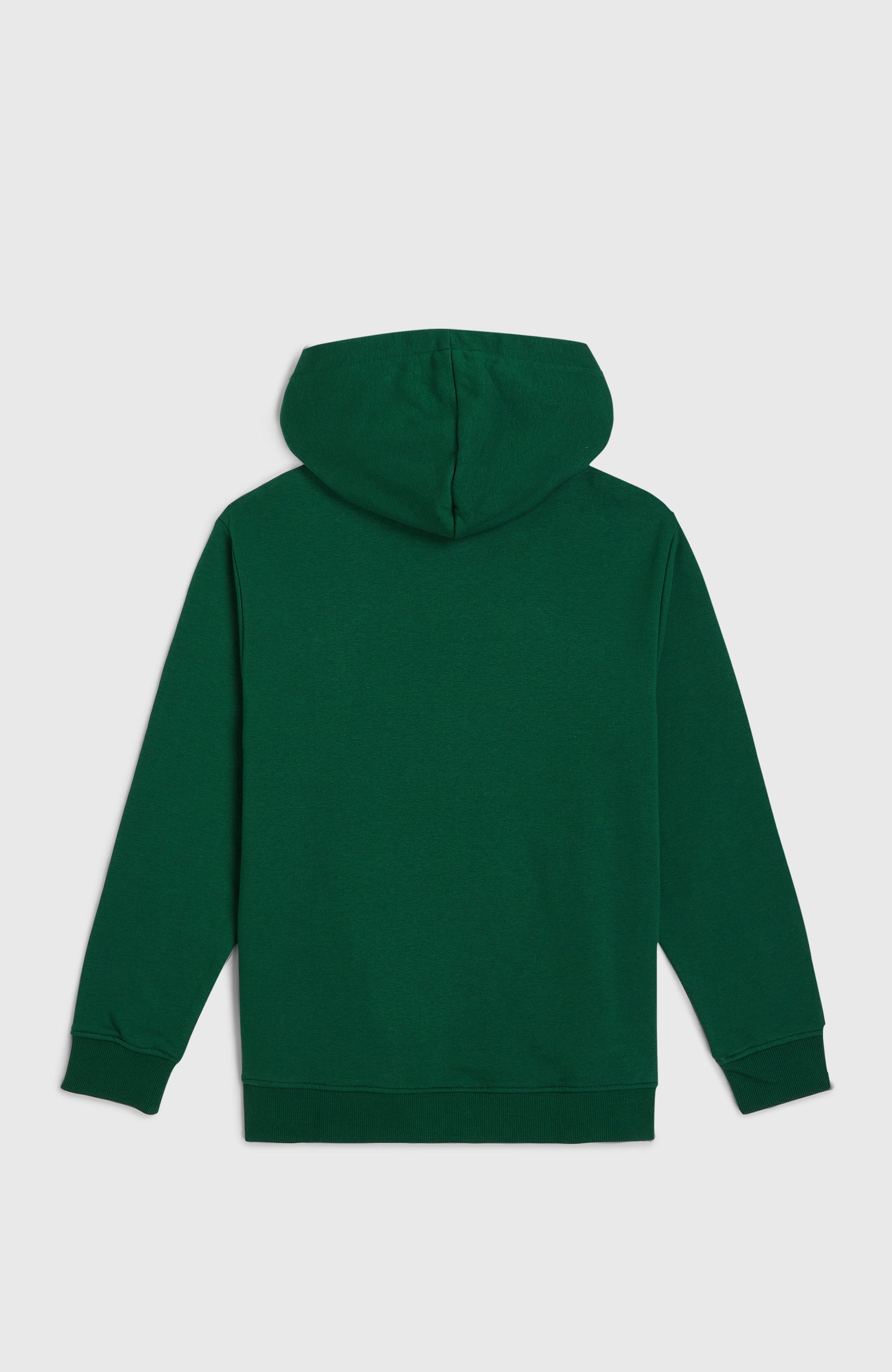 Kids Essentials Hoodie